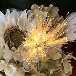 Ashland Fiber Optic LED Light String with Soft Yellow Glow